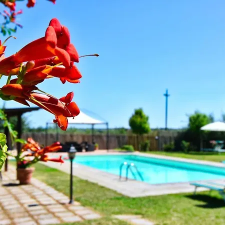 Fratta-santa Caterina Sleeps 20 Pool Air Con Villa Cortona